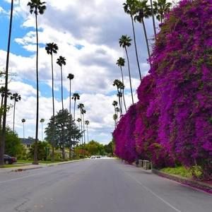 Meet your Posher, Amany